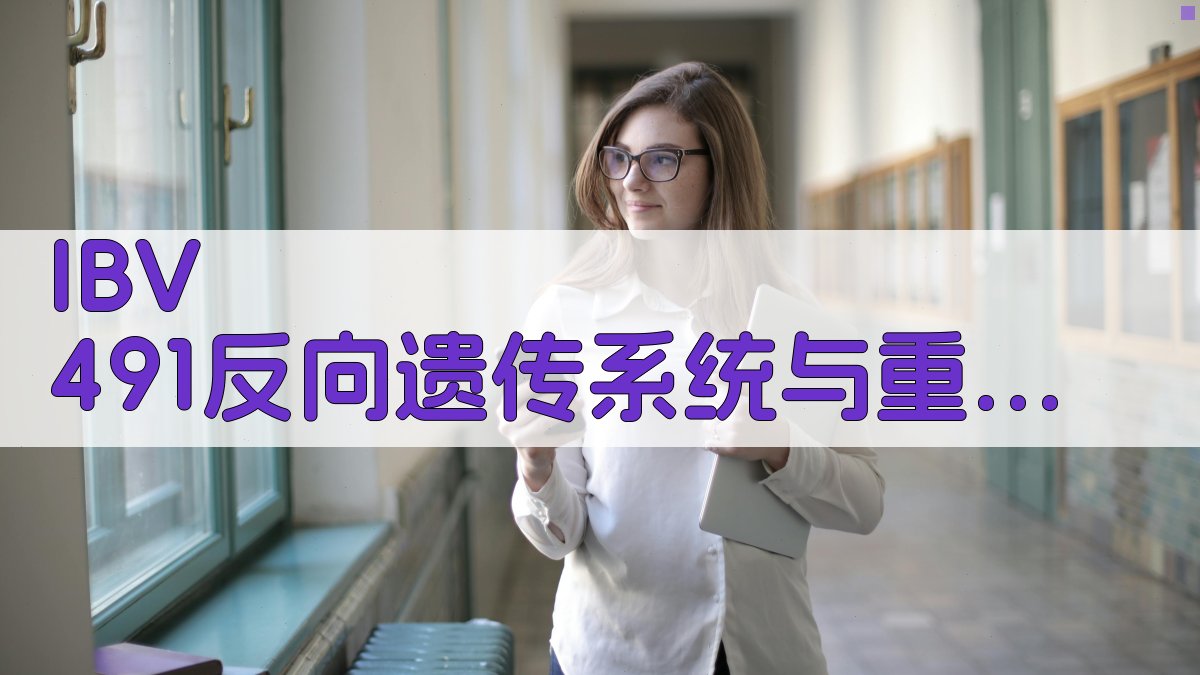 IBV 4/91反向遗传系统与重组株构建研究助手